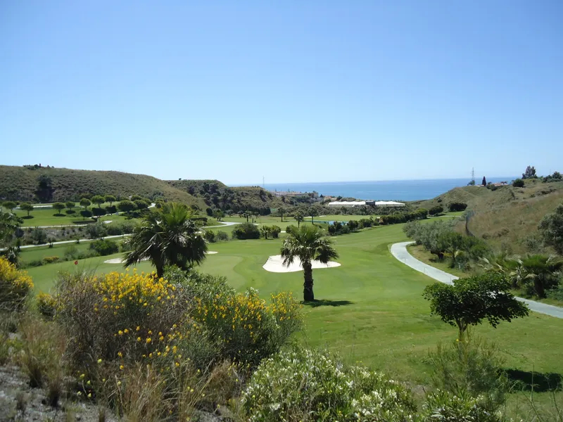 Plot salgai in Caleta de Vélez